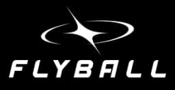 Flyball
