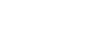 Flyball